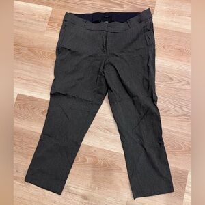 Lane Bryant Charcoal Dress Pants 20S